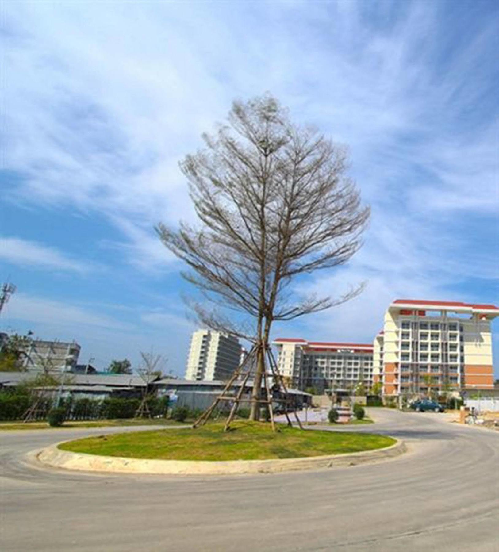 Grow Residences Бангкок Екстер'єр фото